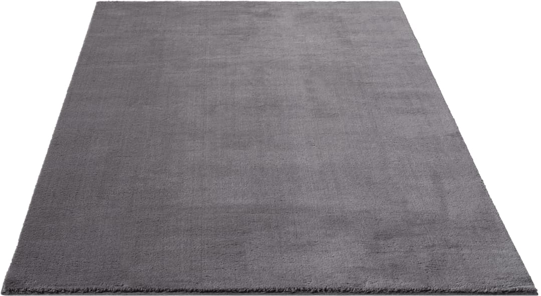 the carpet Teppich Relax | Grau