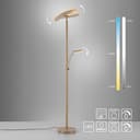 Paul Neuhaus LED Deckenfluter ARTUR | Beige 4