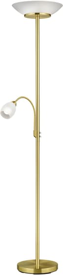 Reality Leuchten Deckenfluter Gerry | Bronze
