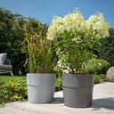 Scheurich Blumentopf CONCRETE 40/266 GROOVE+ | Grau 5