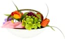 Gestecke Tulpe, Calla, Hortensie, Gerbera | Mehrfarbig