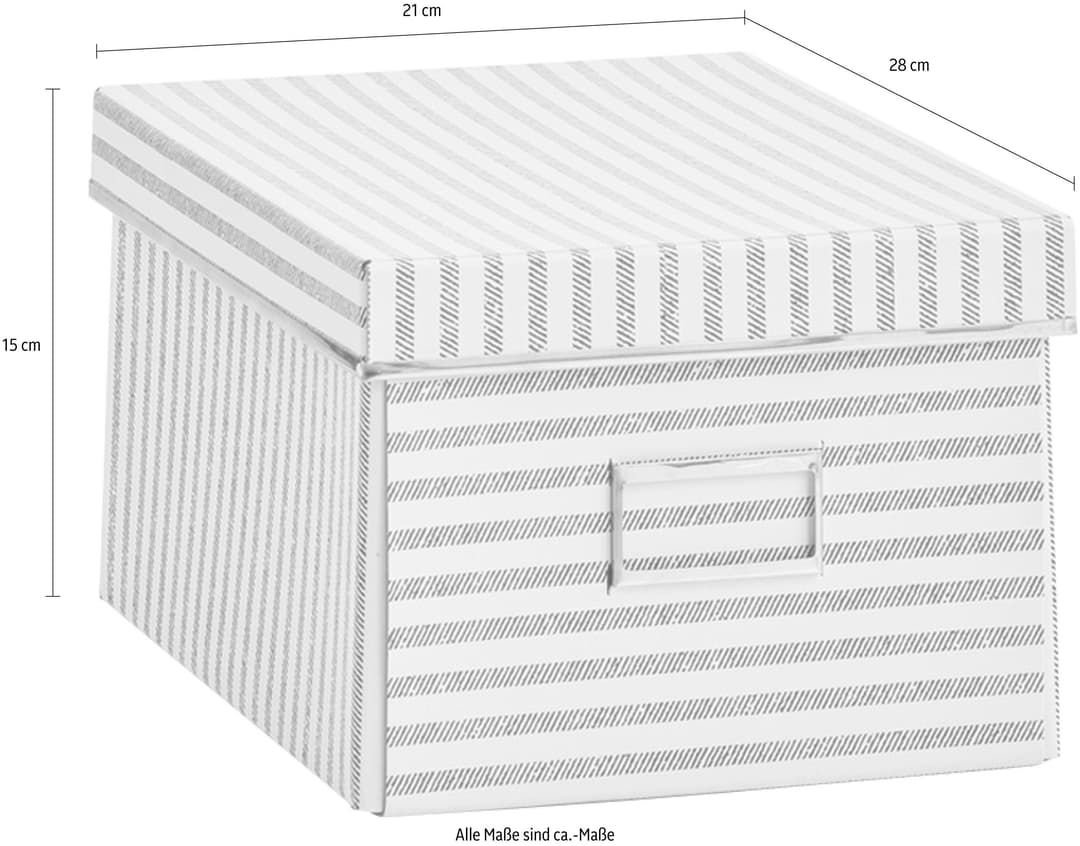 Zeller Present Aufbewahrungsbox Stripes | Beige