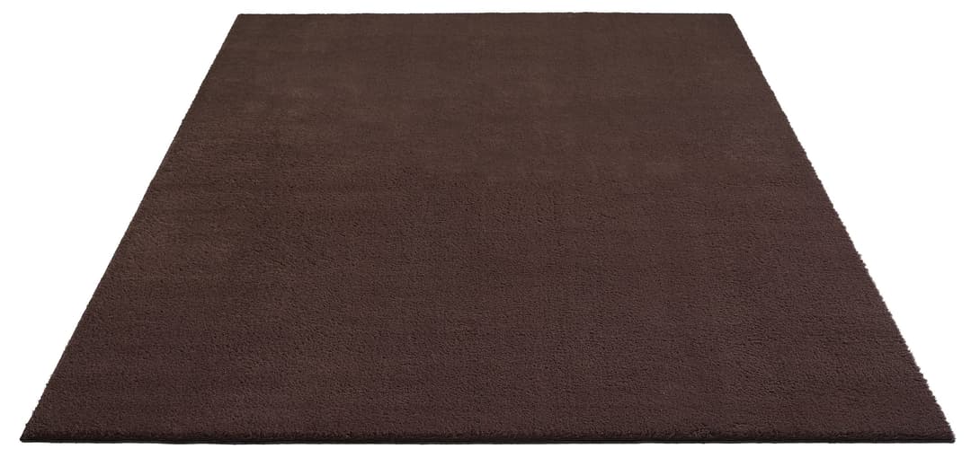 the carpet Teppich Relax | Braun