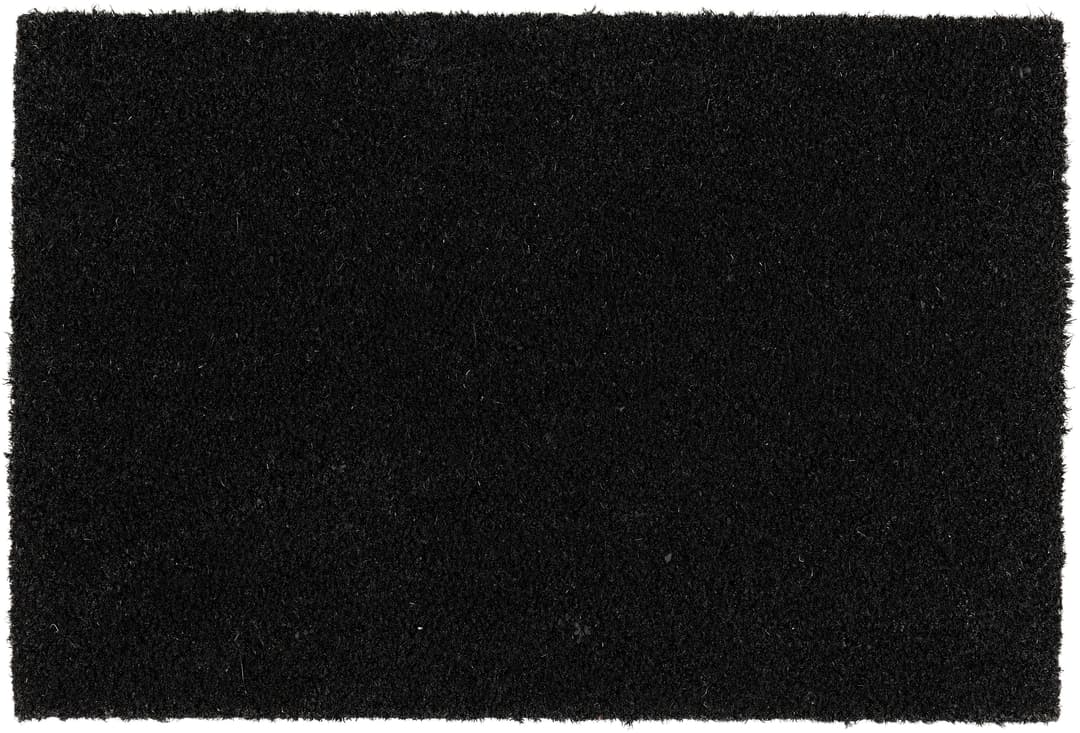 ASTRA Fußmatte Coco Color Trend | Schwarz