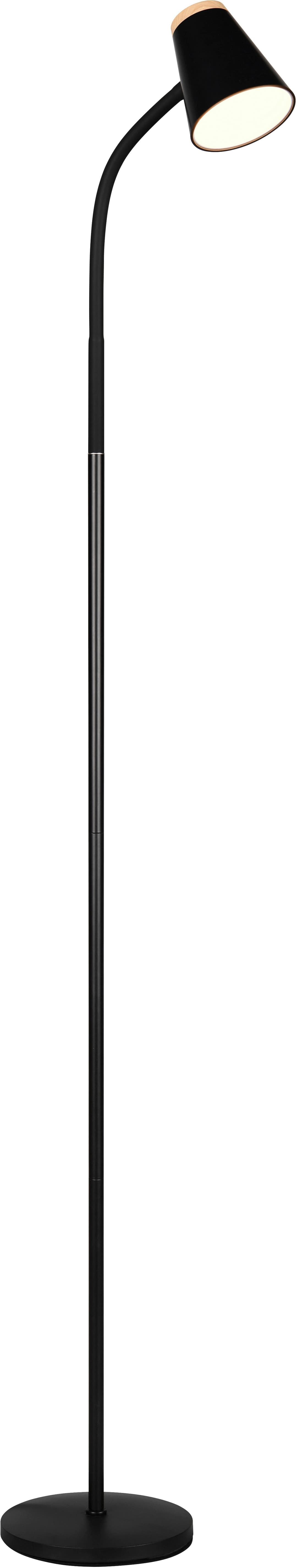 Reality Leuchten LED Stehlampe PONGO | Schwarz