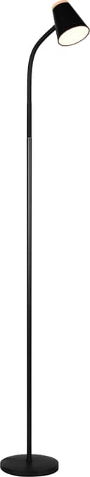 Reality Leuchten LED Stehlampe PONGO | Schwarz