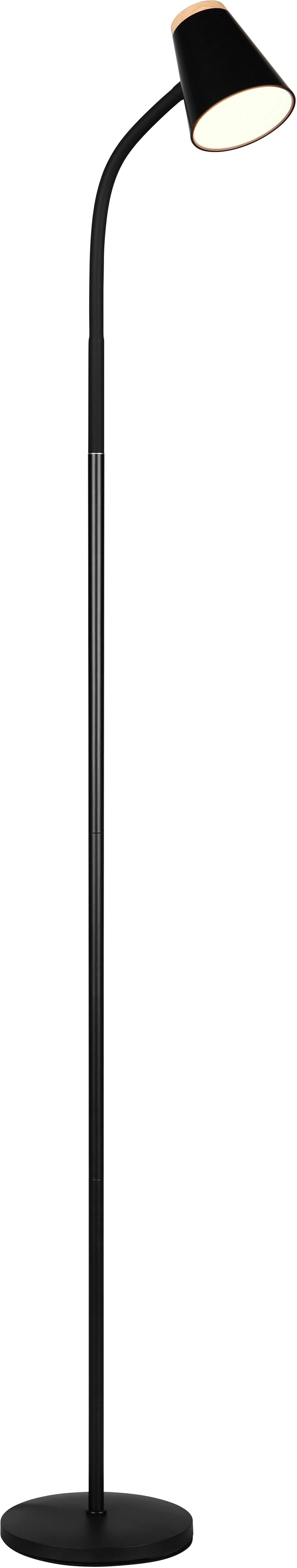 Reality Leuchten LED Stehlampe PONGO | Schwarz