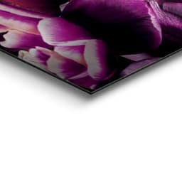Reinders! Deco-Panel Flower Cat | Mehrfarbig