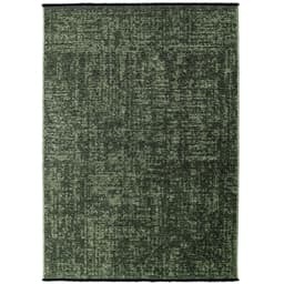 Ayyildiz Teppiche Teppich SPACE 1900 | Grün