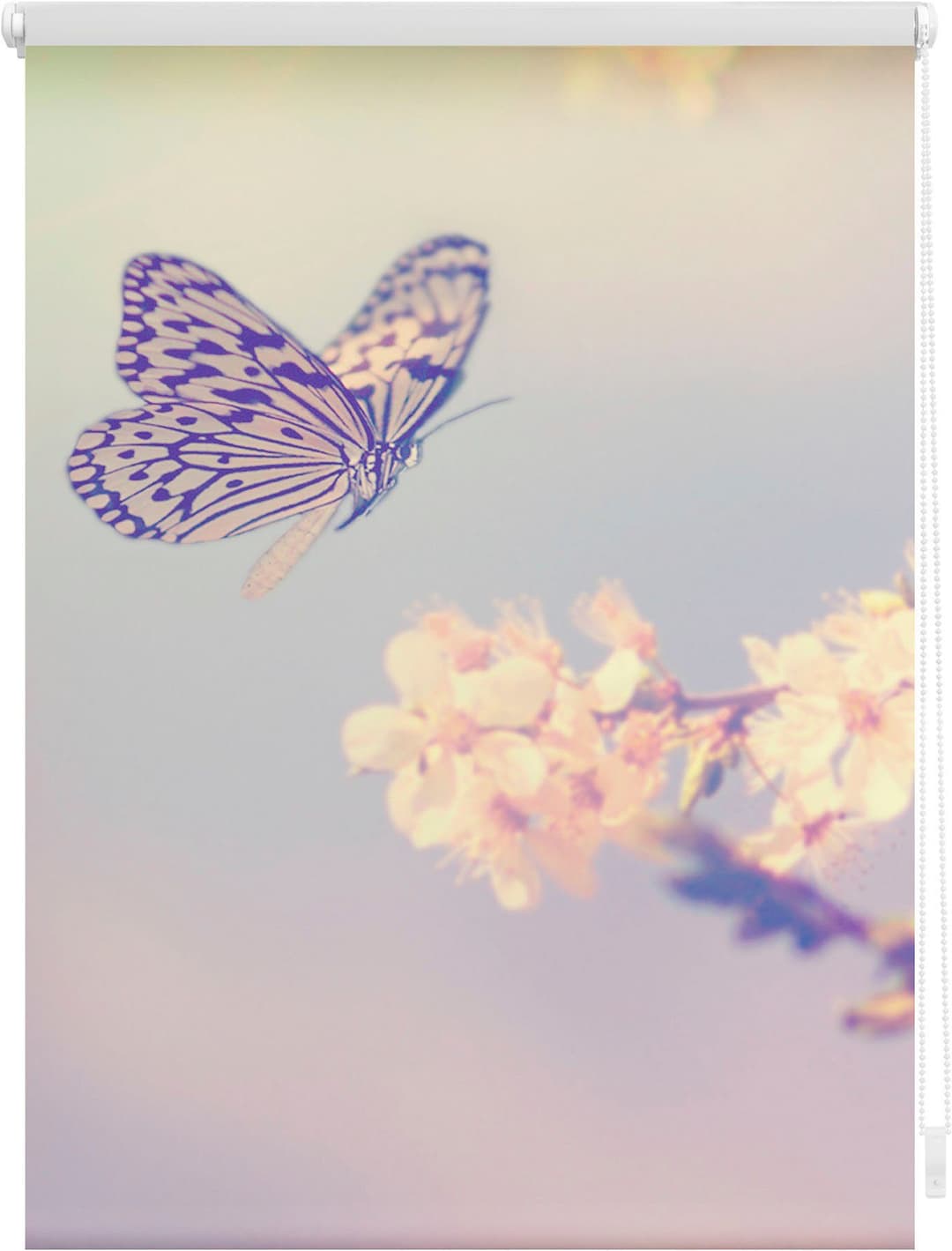 Seitenzugrollo Klemmfix Motiv Schmetterling | Rosa