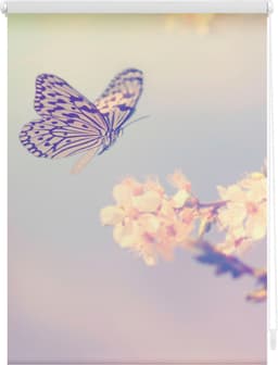 Seitenzugrollo Klemmfix Motiv Schmetterling | Rosa