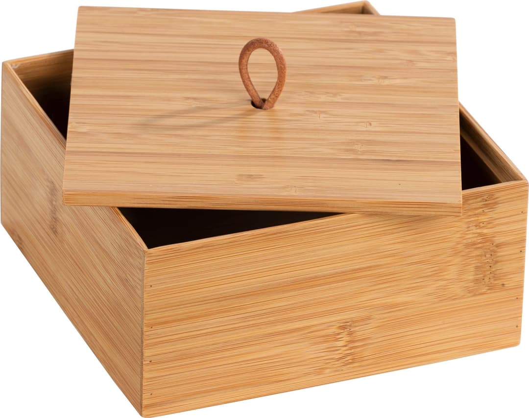 WENKO Aufbewahrungsbox Terra | Braun