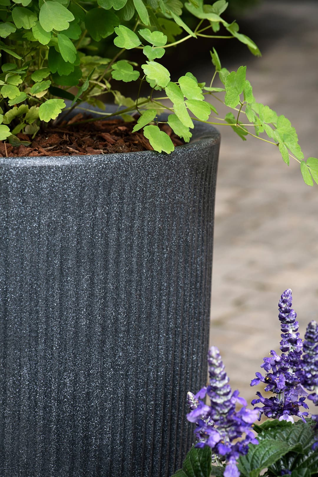 Scheurich Blumentopf Linetto High | Schwarz