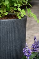 Scheurich Blumentopf Linetto High | Schwarz 4