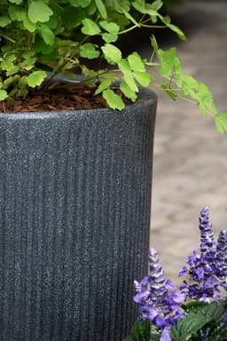 Scheurich Blumentopf Linetto High | Schwarz