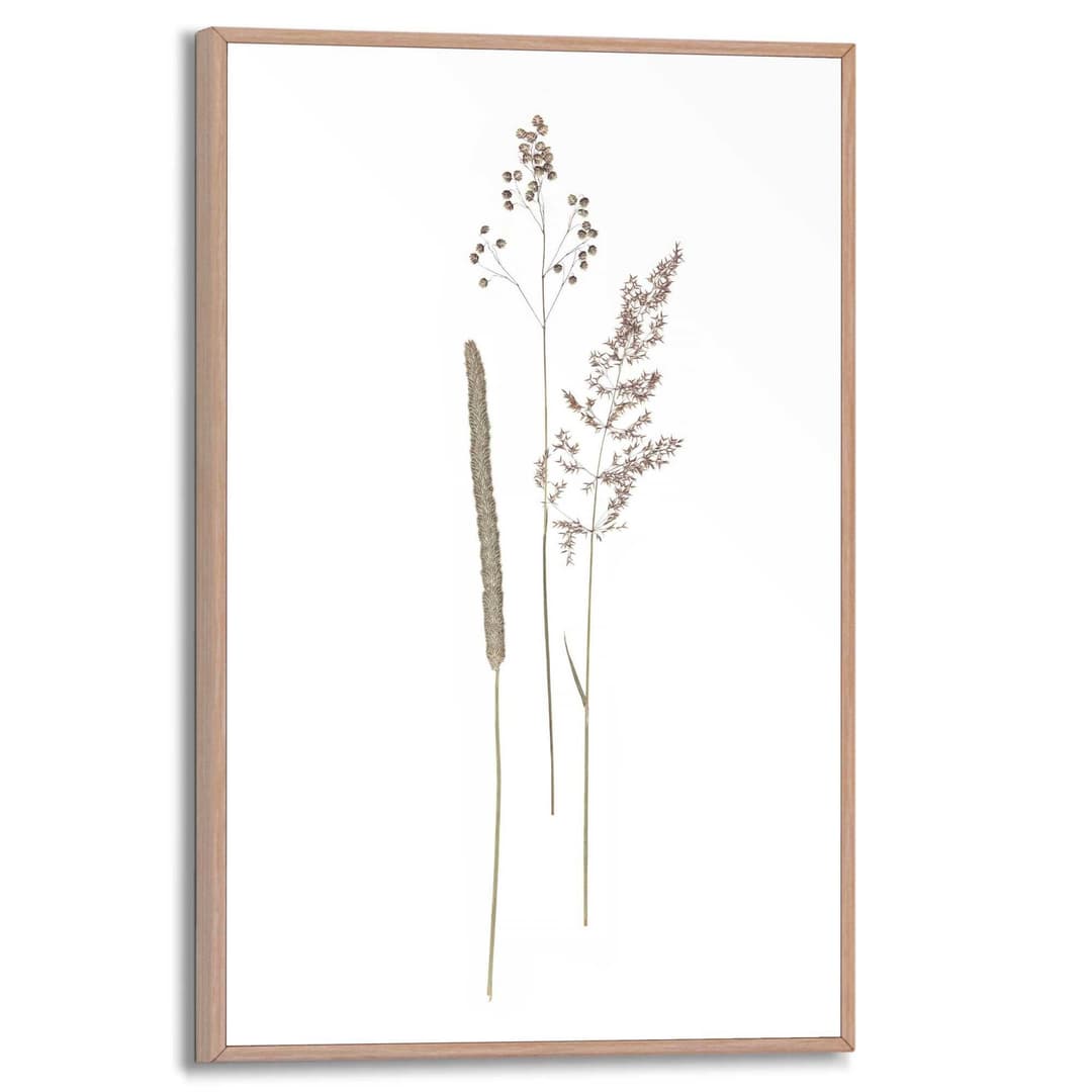 Reinders! Bild mit Rahmen Dried Flowers | Braun