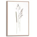Reinders! Bild mit Rahmen Dried Flowers | Braun 2