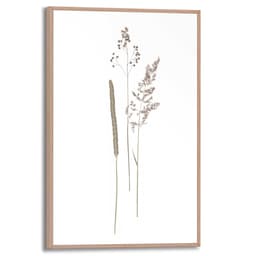 Reinders! Bild mit Rahmen Dried Flowers | Braun
