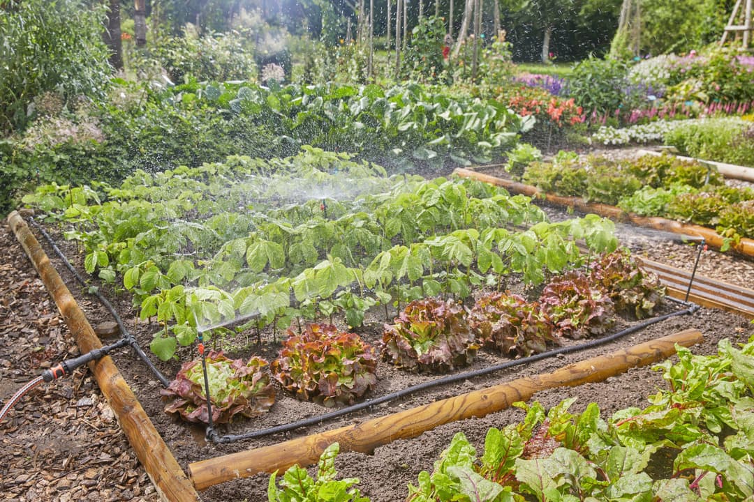 GARDENA Bewässerungssystem Tropfbewässerung Set | Schwarz