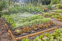 GARDENA Bewässerungssystem Tropfbewässerung Set | Schwarz