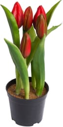 Kunstblume Tulpenpflanze mit 5 Knospen | Rot