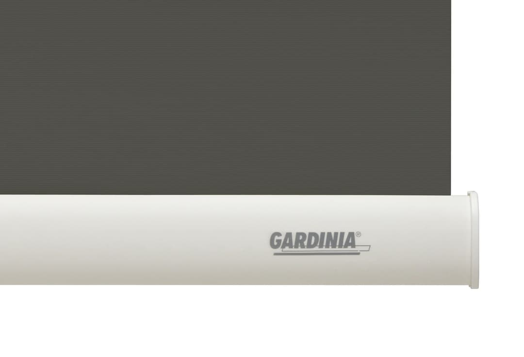 Seitenzugrollo Uni-Rollo | Grau