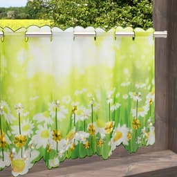 Delindo Lifestyle Scheibengardine Margeriten | Grün