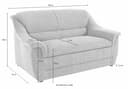 DOMO collection 2-Sitzer Lale Sofa | Grau 5