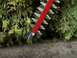 Einhell Akku-Heckenschere GC-CH 1846 Li-Solo | Rot