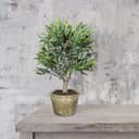 Künstliche Olive | Grün 3