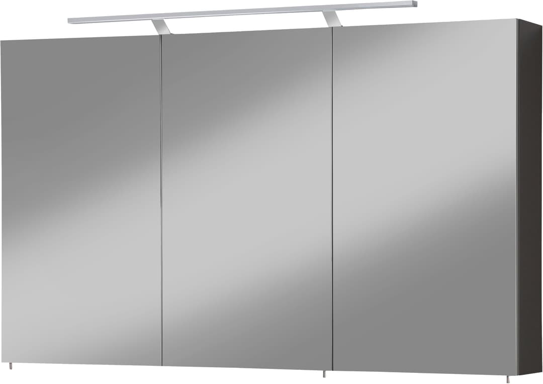 welltime Spiegelschrank Torino | Grau