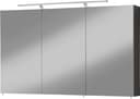 welltime Spiegelschrank Torino | Grau 2
