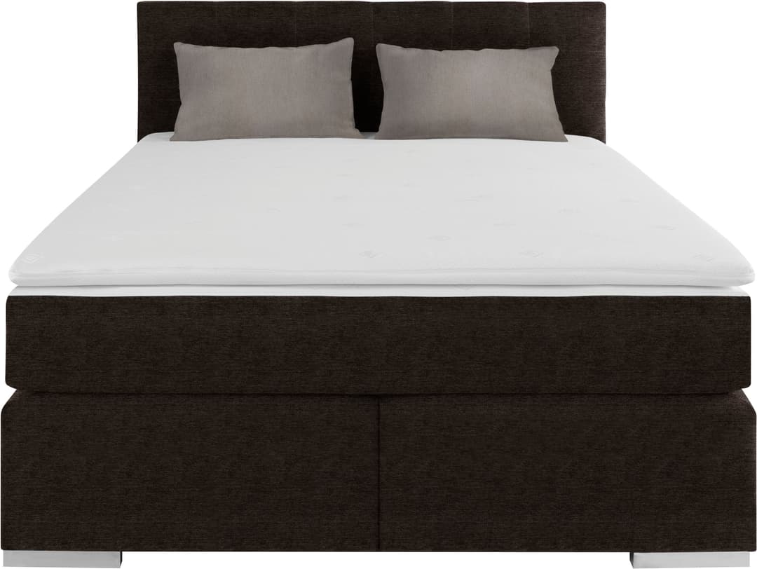 COTTA Boxspringbett Simba | Braun