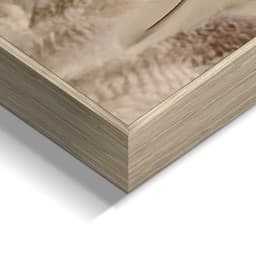 Reinders! Wandbild Floral Highlander | Braun