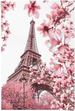 Reinders! Poster Paris in Rosa | Rosa