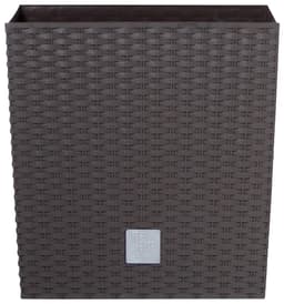 Prosperplast Rato low Blumentopf | Braun