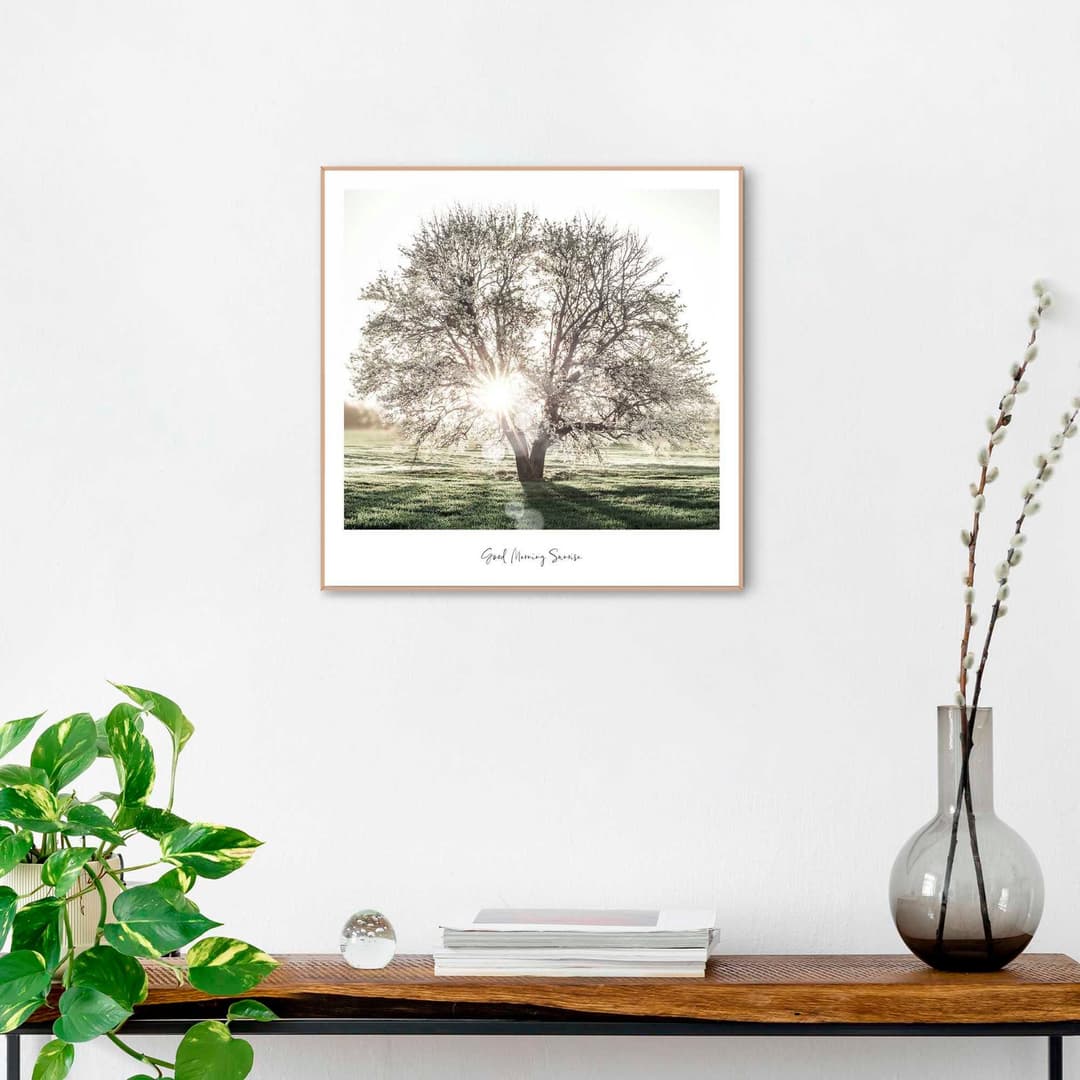 Reinders! Poster Morgensonne | Mehrfarbig