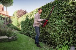 Einhell Akku-Heckenschere GE-CH 36/65 Li-Solo | Schwarz