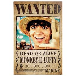 Reinders! Poster One Piece - wanted monkey d. Luffy | Braun