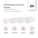 RIBECO Daunenbettdecke Johanna | Weiß 4