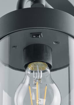 TRIO Leuchten Außen-Stehlampe Sambesi | Schwarz