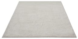 OTTO home Teppich Lisam | Beige
