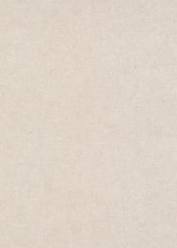 Erismann Vliestapete DASH | Beige