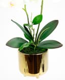 Kunstblume Orchidee I.GE.A. | Weiß 3