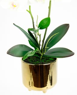 Kunstblume Orchidee I.GE.A. | Weiß