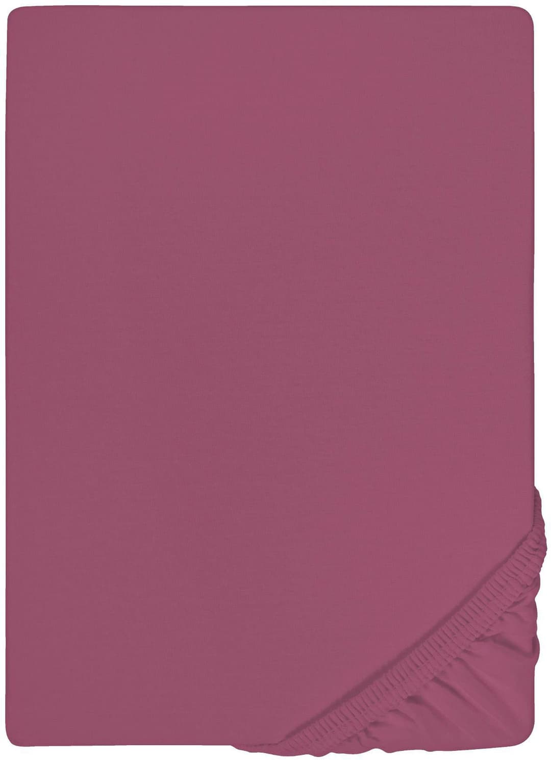 Castell Jersey Spannbettlaken | Lila