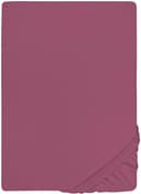 Castell Jersey Spannbettlaken | Lila 2
