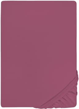 Castell Jersey Spannbettlaken | Lila