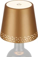 Briloner Leuchten FLASKA Tischleuchte | Gold 2