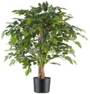 Kunstpflanze Ficus benjamina | Grün